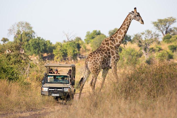 Game Drive e Rhino Walk