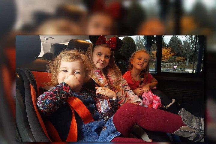 CDG - Euro Disney One Way Private Shuttle Transfer
