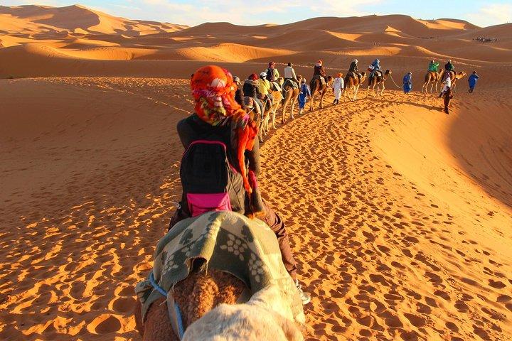 Tour por el desierto de Fez 2 Días 1 Noche (Fez-Merzouga-Fez)