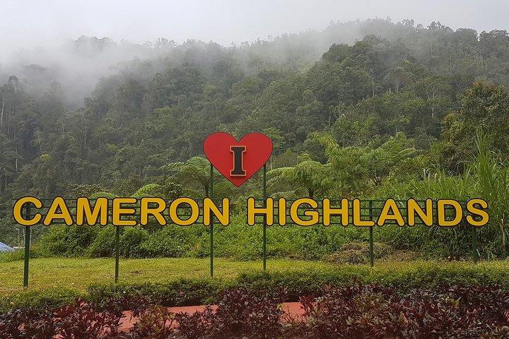 Cameron Highlands Amazing Day Trip Tour com almoço local
