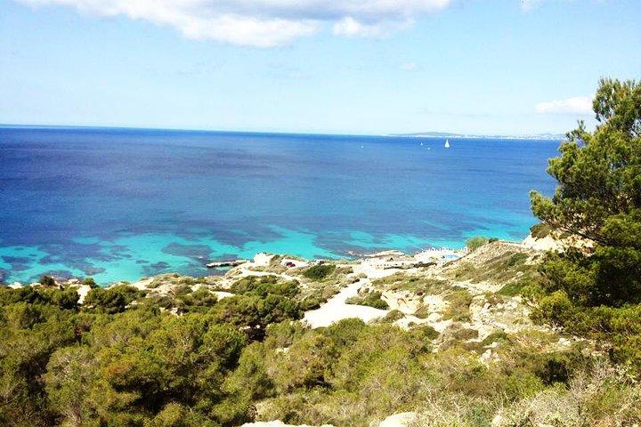 Maiorca: prova le immersioni subacquee in una splendida riserva naturale