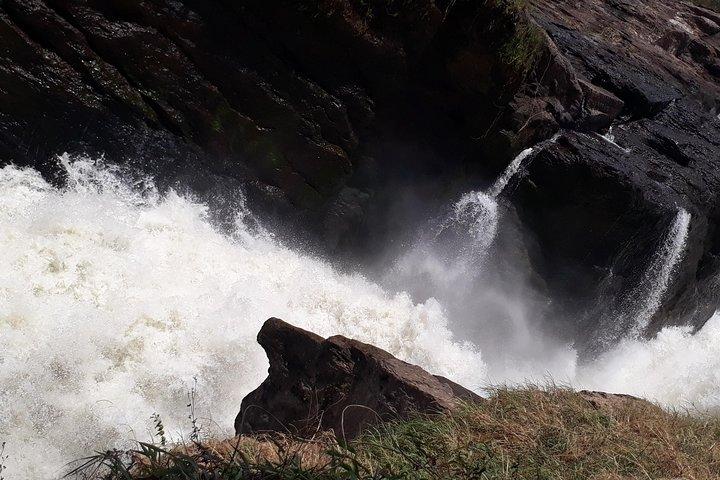Safari privado de 3 dias no Murchison Falls National Park com Big Five Experience