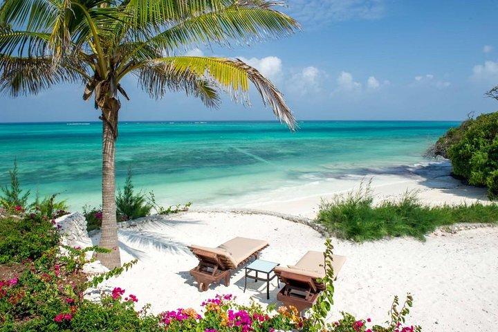 13 Days Congo Zanzibar（ゴリラ、ニラゴンゴハイキング、ザンジバルビーチホリデー）