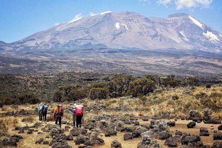 Mt.kilimanjaro Lemosho-ruten