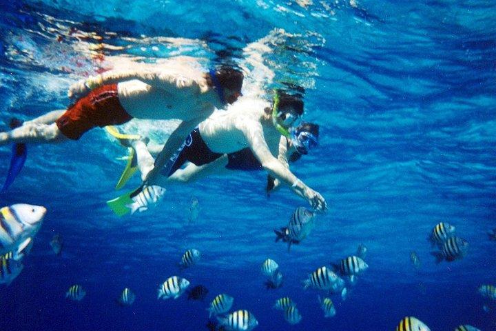 Snorkling Cruise från Hurghada till Mahmaya, Giftun Islands