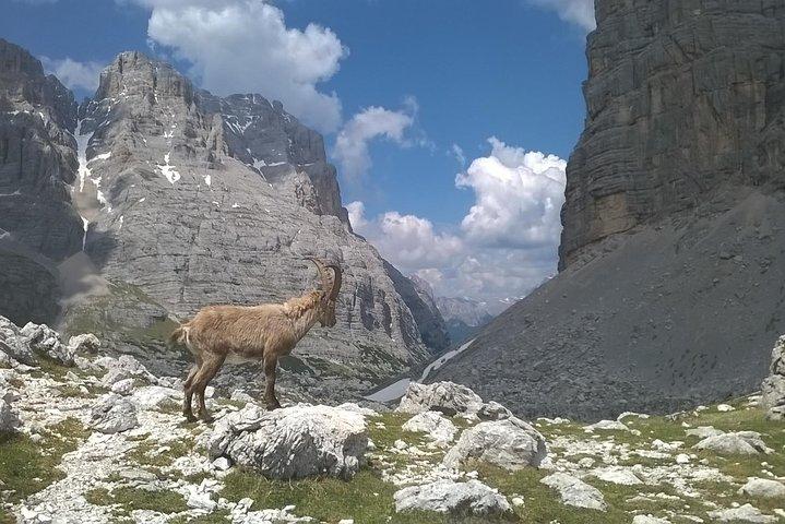 Tour de senderismo Dolomitas