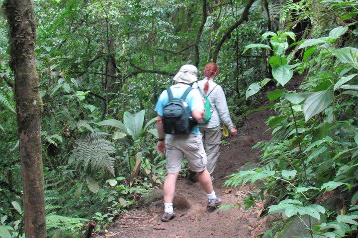 Rundturstransporttjänst till Río Celeste nationalpark från La Fortuna