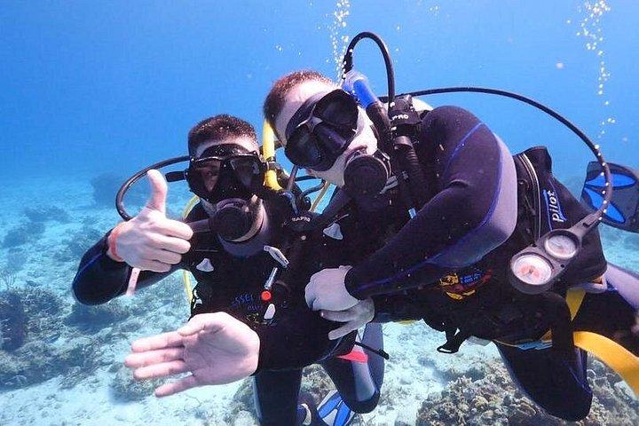 ハルガダ:2つのダイビングサイトで6時間のダイビングツアー