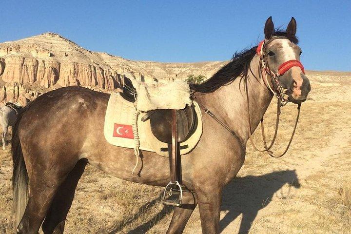 Excursion à cheval au lever du soleil en Cappadoce