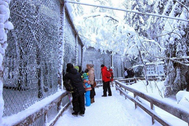 ロヴァニエミからのプライベート ガイド付きラップランド ラヌア動物園ツアー