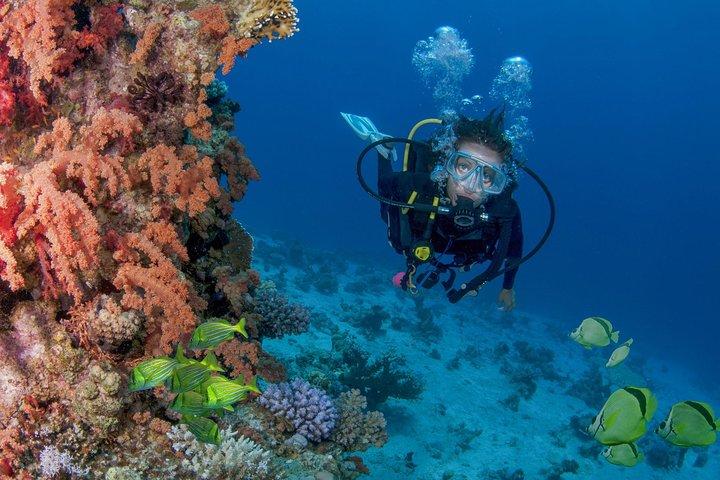Aprende a bucear en Cabo San Lucas con PADI