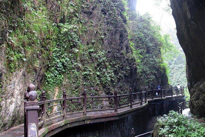 楽山大仏と峨眉山（ゴールデンサミット）高速列車で2日ツアー