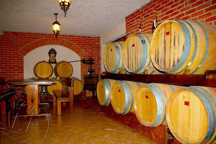 Peljesac Vineyards & Oysters - ドゥブロヴニク - メルセデス車からのプライベート日帰り旅行