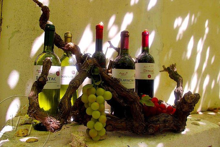 Peljesac Vineyards & Oysters - ドゥブロヴニク - メルセデス車からのプライベート日帰り旅行