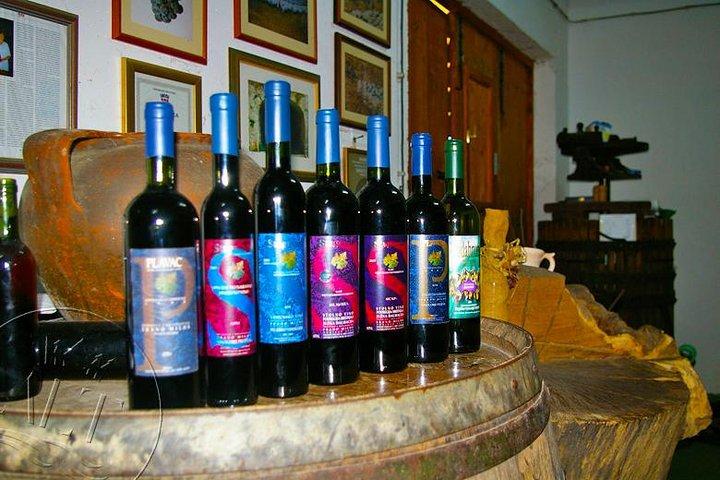 Peljesac Vineyards & Oysters - ドゥブロヴニク - メルセデス車からのプライベート日帰り旅行
