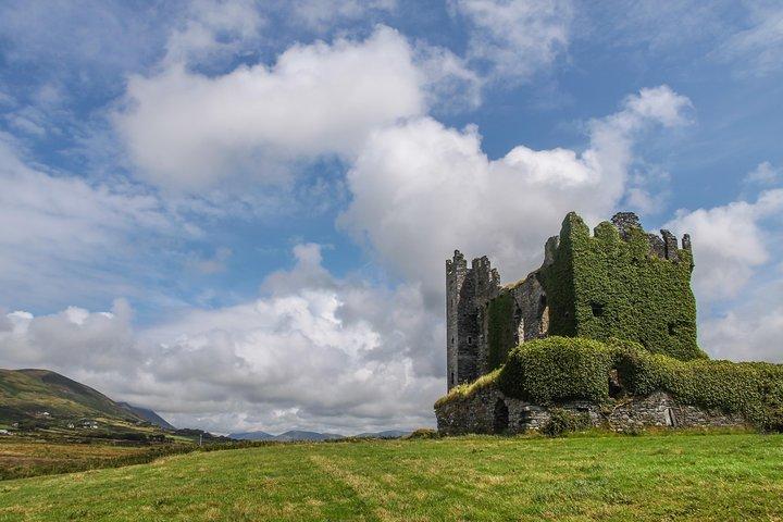 Tour privato: Ring of Kerry da Sneem, Parknasilla, Kenmare ecc.