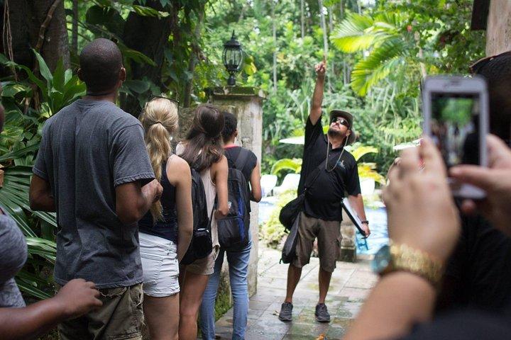 Tour gastronómico y a pie por Nassau