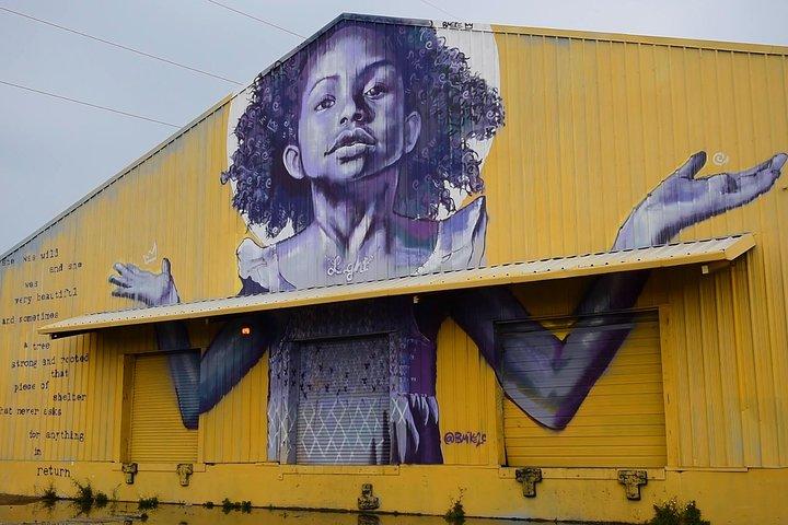 Tour della città di New Orleans