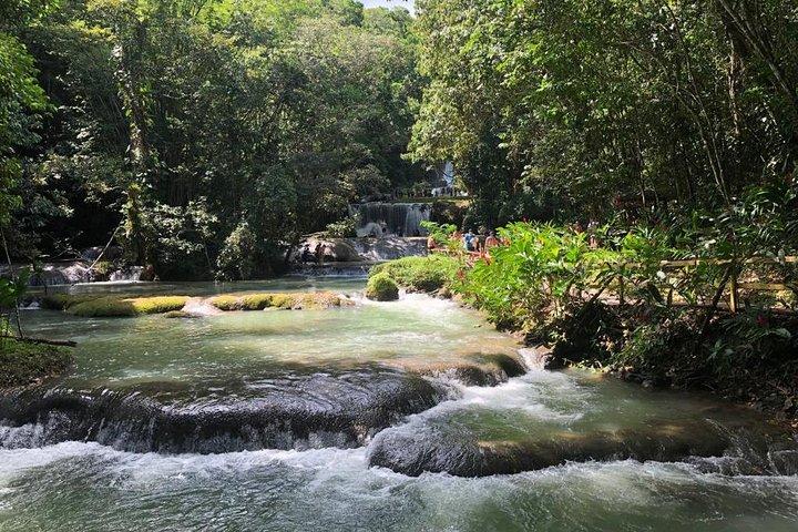 Cruzeiro de barco Ys Falls e Black River Safari [somente transporte]