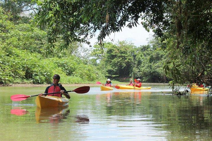 Safari in kayak