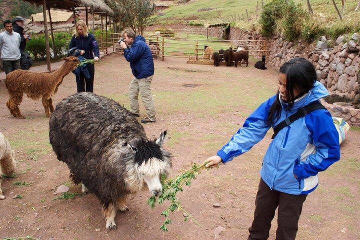 6 - クスコとマチュピチュの日帰りツアー：聖なる谷とマラス・モライ