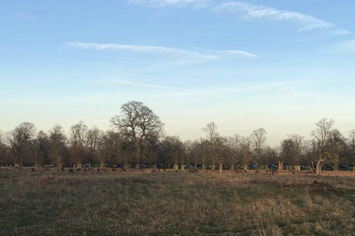 Excursion à vélo sur le terrain de Hampton Court Palace