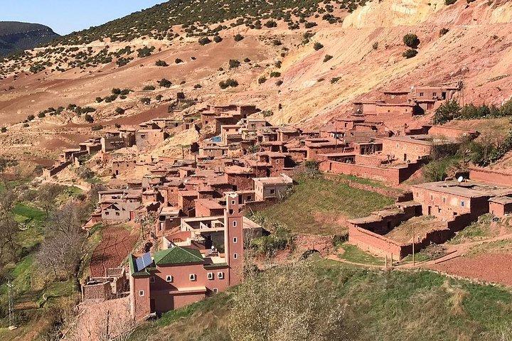 Dagstur från Atlasbergen från Marrakech och kameltur
