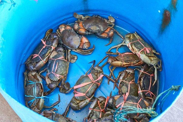 プライベートツアー：カニ島観光ボートライド＆シーフードランチ