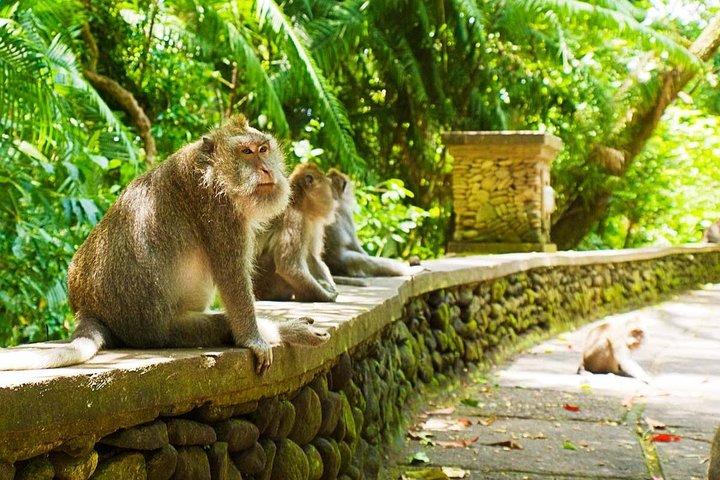 Visite Bali Ubud