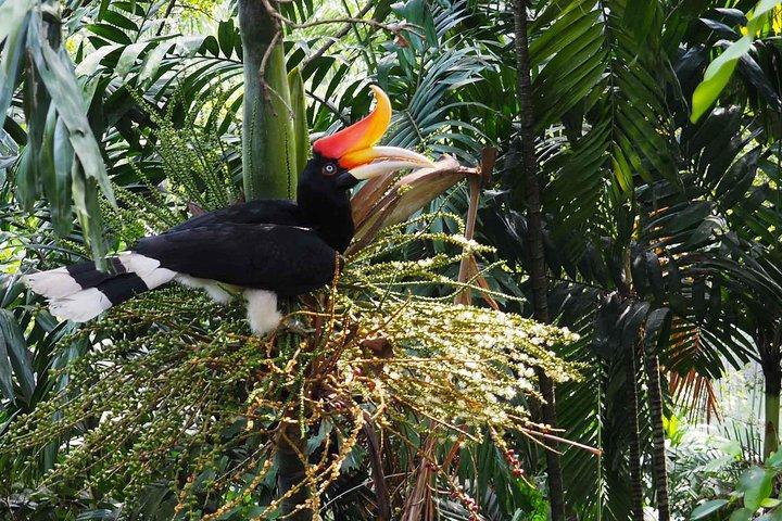 Kuala Lumpur vogelpark & plattelandsontsnappingstocht