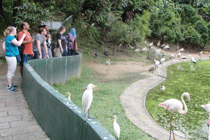 Kuala Lumpur vogelpark & plattelandsontsnappingstocht