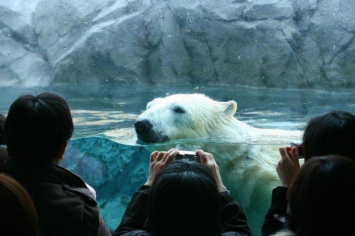 北海道旭山動物園・富良野・美瑛バスツアー