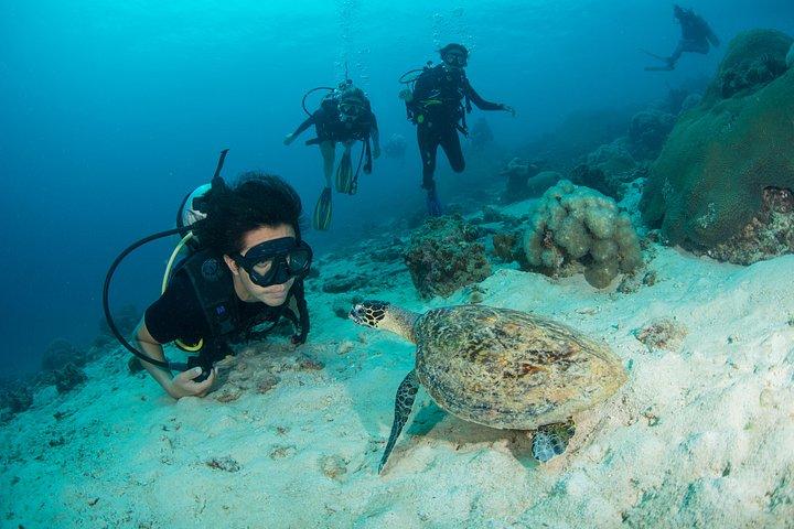 ランタ島からの楽しいダイビングサファリ日帰り旅行 - 認定ダイバー