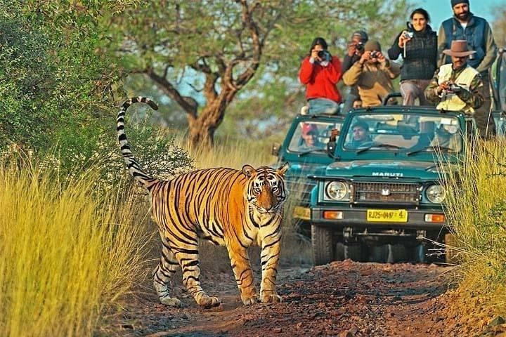 Golden Triangle Tour con Ranthambore (Hotel de 3 estrellas)