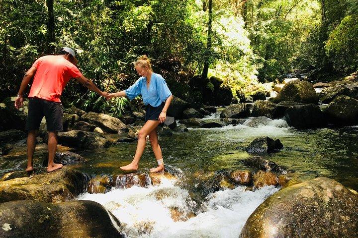 Esplora la Riserva della foresta di Singharaja (mirissa / weligama e Galle)