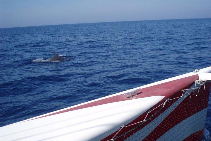 Halv-dages katamaran tur i Menorca