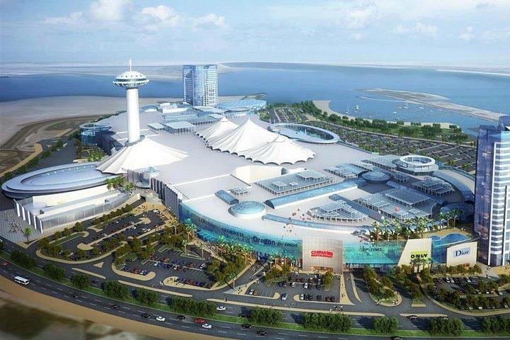 Visite d'une journée complète à Abu Dhabi