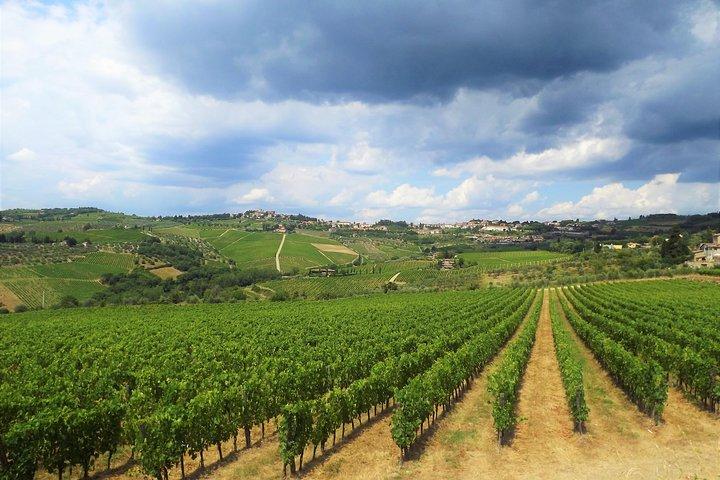 Safari en Chianti Open Top Van y cata de vinos