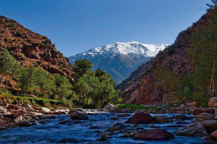 Tagesausflug ins Ourika-Tal
