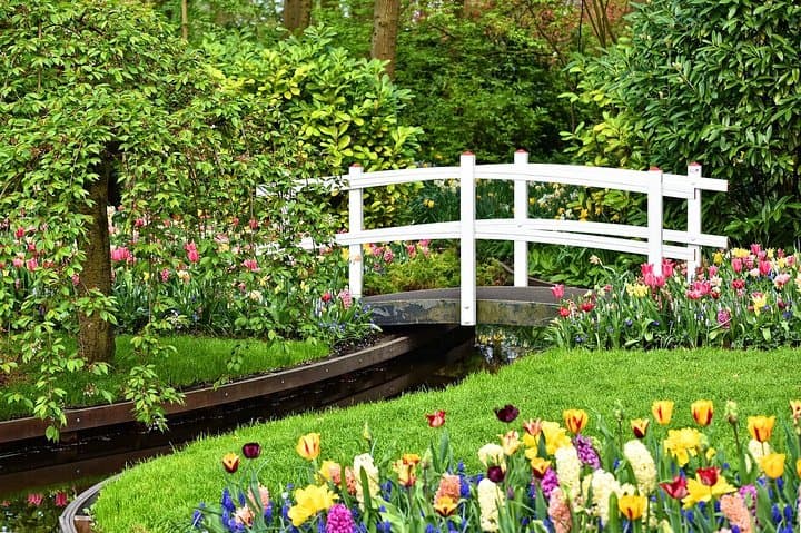 Private Tour Keukenhof Flowers, Windmills, Cheese from Amsterdam
