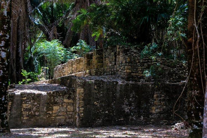Excursion sur le rivage privé des ruines mayas de Kohunlich