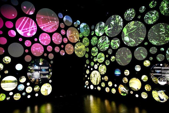 Museum of Tomorrow Guided Tour, Admission & Transfer