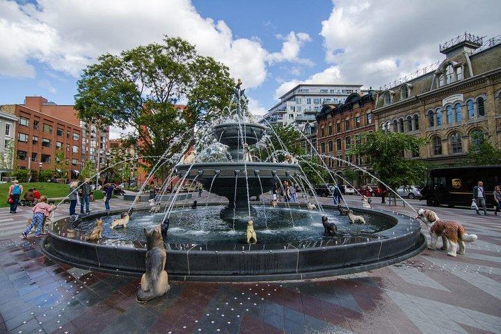 Découvrez Toronto comme un habitant