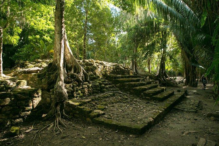 Excursión por la Costa Maya: excursión de un día a Chacchoben