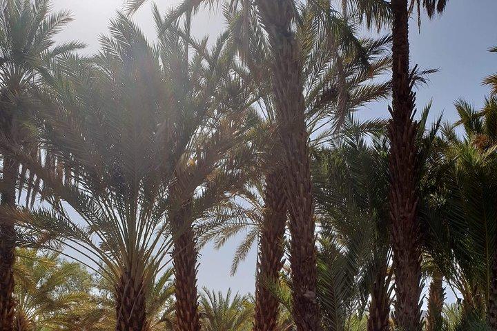 マラケシュ発ザゴラ砂漠2日間旅行