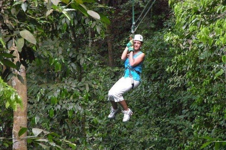 Mystic Mountain Canopy Experience From Montego Bay