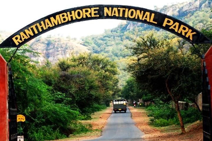 2-Days Private Ranthambhore Tiger Tour de Jaipur