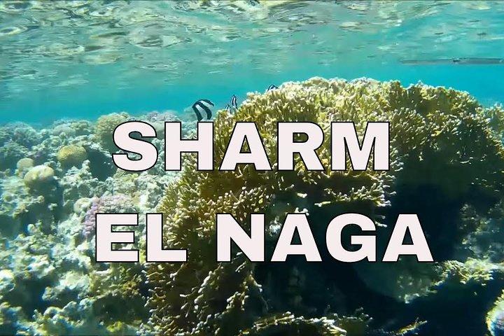 ハルガダからシャルムエルナガベイへのシュノーケリングやレクリエーション旅行