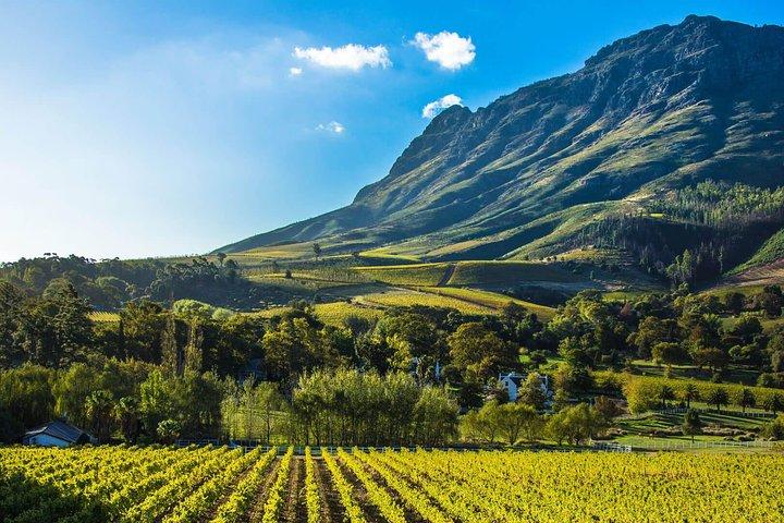 Città del Capo, Tour privato - Table Mountain e Constantia Wine Testing