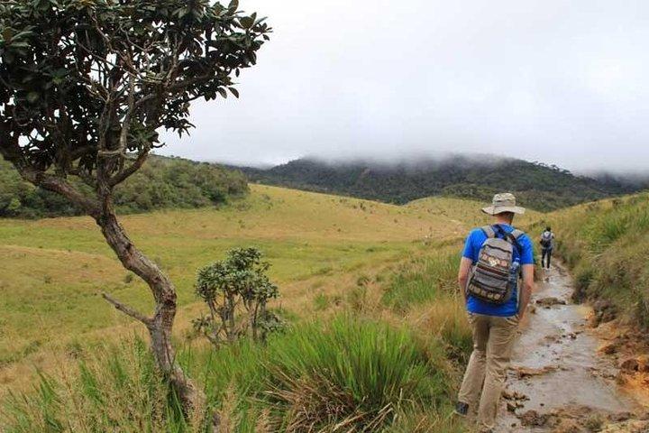7 Tage 6 Nächte Pauschalreise mit Urlaubswanderern Sri Lanka